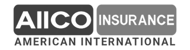 Partner logo 3