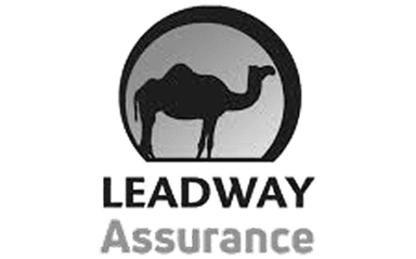 Partner logo 2